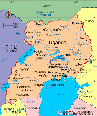 Mobilizing Democracy: Lessons from Uganda